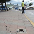 La Villaflora es uno de los sectores afectados por el robo.