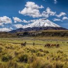 El volcán Cotopaxi ha disminuido su proceso eruptivo en los últimos meses, la Secretaría de Gestión de Riesgos.