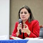 Elena Nájera también pide un informe sobre los viajes internacionales oficiales que prevén hacer los demás integrantes del pleno.