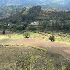 Subasta.- Uno de los terrenos que la CFN subasta, este es el de Pallatanga.