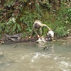 Rastreo. Militares y policías revisan todas las áreas cercanas al sitio donde desaparecieron las menores.
