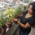 Kennedy. Cultivo de tomate, pimiento y hierbas aromáticas en un balcón.