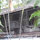 Lugar. La Aduana de Fierro se encuentra en las calles Vacas Galindo y Vivero.