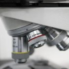 Investigación. El equipo ha demostrado que los niveles excesivos de insulina sobreestimulan las células acinares pancreáticas