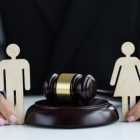 La pensión alimenticia es un aporte económico que reciben mensualmente los hijos menores y dependientes de padres divorciados o separados