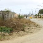 En el lugar existen muchos solares abandonados y llenos de maleza.