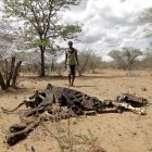 Un agricultor contempla los restos de una vaca fallecida a consecuencia de la severa sequía en Mwenezi (Zimbabue), en una imagen de archivo. EFE