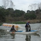 Labor.- Dos personas trabajan en una piscina de camarón de Ecuador.