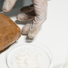 Los policías hallaron un total de 500 paquetes de cocaína con forma de ladrillo.