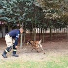 Kiana participa de varias actividades de búsqueda