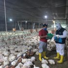 En Ecuador se han definido algunos protocolos.