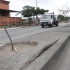 En un tramo de la autopista Narcisa de Jesús se observa un parterre en mal estado.