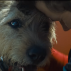 Trailer - La película estrenará celebridades como Mark Wahlberg