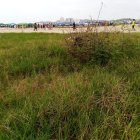 Hecho. Esta es la imagen que prevalece en los balnearios de Playas desde hace ya más de un año.