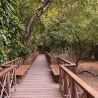 Territorio. La administración pasó a ser del Cabildo.