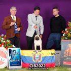 PETFEST será el lugar de encuentro para las mascotas, sus dueños y las empresas o emprendimientos especializados en este rubro