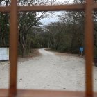 Guayaquil. Los especialistas apuntan a preservar, a como dé lugar, las especies que habitan en Cerro Blanco.