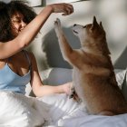 El sueño de los perros y gatos es mucho más ligero.