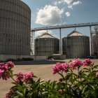 La suma millonaria va destinada a la reparación de los puertos ucranianos.