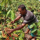 La región amazónica, responsable por apenas de un 8,5 % de todas las ventas al extranjero.