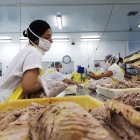 Los envíos de atún cayeron un 38 % hasta septiembre de este año.