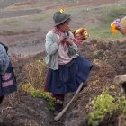 Los trabajos buscan ayudar a la comunidad indígena.