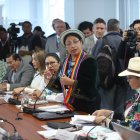 Mariana Yumbay se unió al pedido de Lucia Posso para exigir que primero se apruebe un plan de trabajo antes de iniciar la fiscalización.