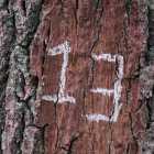 La psicología de la suerte.