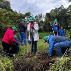 Acto. La siembra de árboles beneficia al medio ambiente.