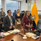 Elección. Viviana Zambrano y Adrián Castro lideran esta comisión que tiene 90 días para presentar un informe.