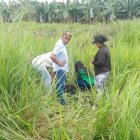 Pista. El cuerpo del joven fue hallado entre los matorrales.