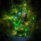 Show. ‘Bosque de luz’ estará abierto hasta el 30 de diciembre.