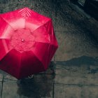 Referencia. La institución expresa que este pronóstico está dirigido para el norte e interior de la Costa ecuatoriana.