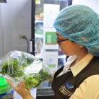 Agentes de Arcsa revisando alimentos de local clausurado.