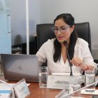 La asambleísta del correísmo, Ana Herrera, será la ponente de la ley ante el pleno de la Asamblea.