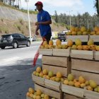 Ruta Viva. Esta avenida se ha convertido en el escenario para que diferentes comerciantes oferten los productos.