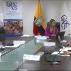 El pleno del Consejo de Participación sesión la mañana del 13 de diciembre.