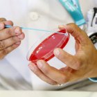 Desarrollan una vacuna que se inhala para prevenir el Covid-19.