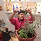 Pasiflora, manzanilla, caléndulas, tomillo, cedrón y lavanda son algunas de las plantas que la barténder y botanista cultiva en el pequeño huerto de ‘Jardina’.