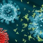 Caso. La nueva variante fue detectada por el Ministerio de Salud Pública, es un paciente que reside Quito.