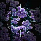 Utilizando un tipo de inteligencia artificial conocida como aprendizaje profundo, investigadores del MIT han descubierto una clase de compuestos que pueden matar una bacteria resistente a antibióticos, que causa más de 10.000 muertes en Estados Unidos cada año