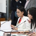 Diana Atamaint pide la máxima sanción para el periodista y cronista Roberto Aguilar.