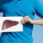 Es el órgano encargado de regular las grasas