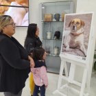 La muestra busca sensibilizar a la gente sobre el rescate de los animales.