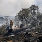 Varios incendios ya se registran en Australia