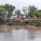 Árbol cae debido a fuertes lluvias en Cuenca