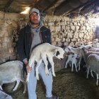 Abdelqader Badaui, agricultor y ganadero del pueblo Oulad Blad, a unos 90 kilómetros al este de Rabat muestra su rebaño en Oulad Blad (Marrueos).