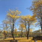 Panorama. Uno de los paisajes de la Biosfera del Bosque Seco.