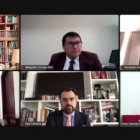 Expertos participaron de forma telemática en la sesión de la Comisión de Justicia.