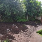 El albergue que acoge a 185 animalitos resultó afectado por las fuertes lluvias